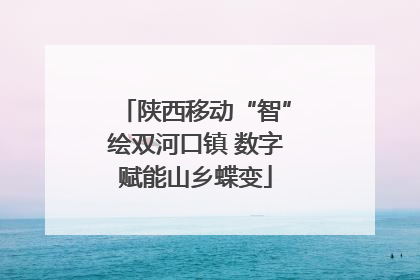 陕西移动“智”绘双河口镇 数字赋能山乡蝶变
