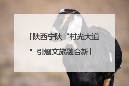 陕西宁陕“村光大道”引爆文旅融合新