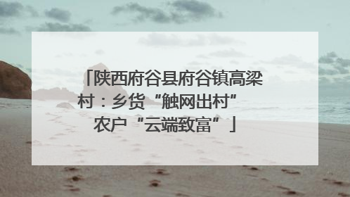 陕西府谷县府谷镇高梁村：乡货“触网出村” 农户“云端致富”