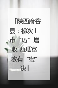 陕西府谷县：梯次上市“巧”增收 西瓜富农有“蜜”诀