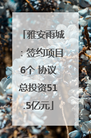 雅安雨城：签约项目6个 协议总投资51.5亿元