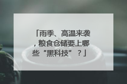 雨季、高温来袭，粮食仓储要上哪些“黑科技”？