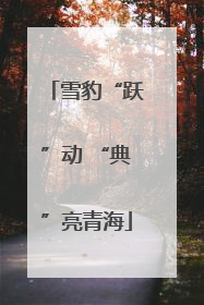 雪豹“跃”动 “典”亮青海
