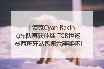 领克Cyan Racing车队再获佳绩 TCR世巡赛西班牙站包揽六座奖杯