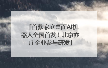 首款家庭桌面AI机器人全国首发！北京亦庄企业参与研发