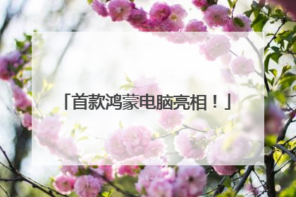 首款鸿蒙电脑亮相！