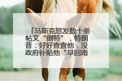 马斯克怒发数十条帖文“倒特”，特朗普：好好查查他，没政府补贴他“早回南非老家”了