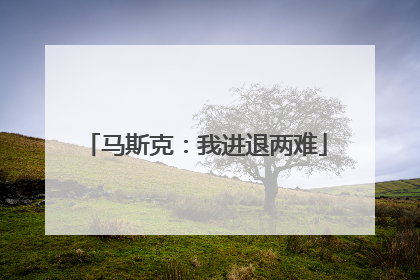 马斯克：我进退两难