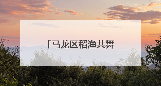 马龙区稻渔共舞促增收 稻渔订单生产共致富