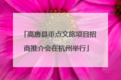 高唐县重点文旅项目招商推介会在杭州举行