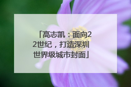 高志凯：面向22世纪，打造深圳世界级城市封面