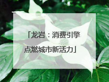 龙岩：消费引擎点燃城市新活力