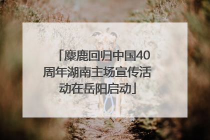 麋鹿回归中国40周年湖南主场宣传活动在岳阳启动