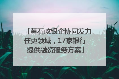 黄石政银企协同发力住更领域，17家银行提供融资服务方案