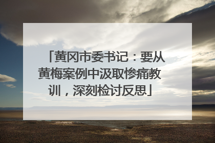 黄冈市委书记：要从黄梅案例中汲取惨痛教训，深刻检讨反思