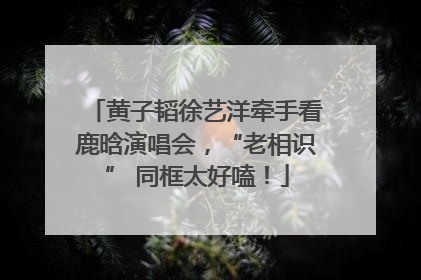 黄子韬徐艺洋牵手看鹿晗演唱会，“老相识” 同框太好嗑！