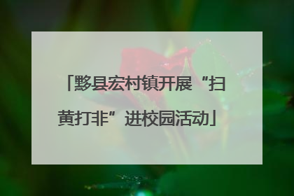 黟县宏村镇开展“扫黄打非”进校园活动