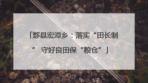 黟县宏潭乡：落实“田长制” 守好良田保“粮仓”