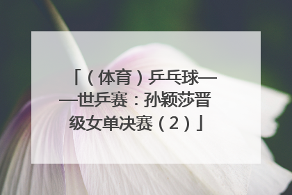 （体育）乒乓球——世乒赛：孙颖莎晋级女单决赛（2）