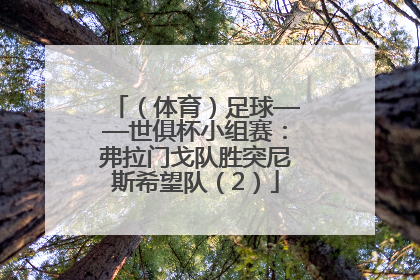 （体育）足球——世俱杯小组赛：弗拉门戈队胜突尼斯希望队（2）