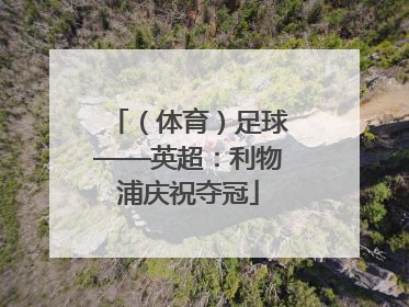 （体育）足球——英超：利物浦庆祝夺冠