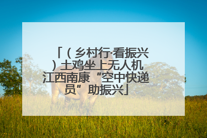（乡村行·看振兴）土鸡坐上无人机 江西南康“空中快递员”助振兴