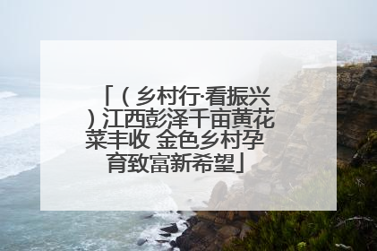 （乡村行·看振兴）江西彭泽千亩黄花菜丰收 金色乡村孕育致富新希望