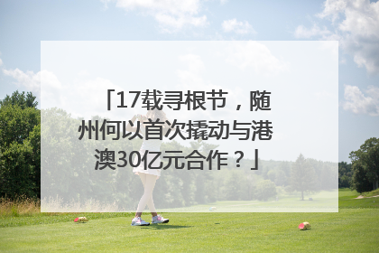 17载寻根节，随州何以首次撬动与港澳30亿元合作？