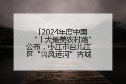 2024年度中国“十大最美农村路”公布，枣庄市台儿庄区“鲁风运河”古城文化廊道上榜！