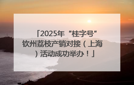 2025年“桂字号”钦州荔枝产销对接（上海）活动成功举办！