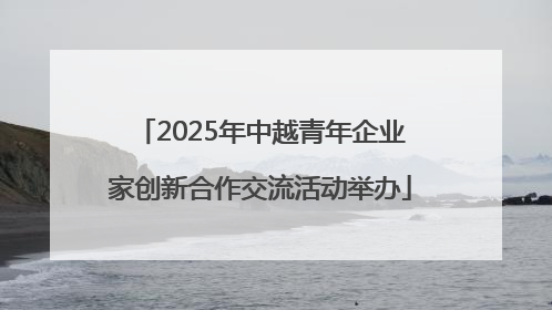 2025年中越青年企业家创新合作交流活动举办