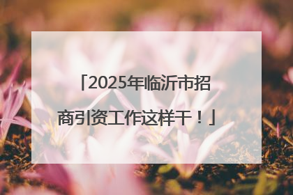 2025年临沂市招商引资工作这样干！