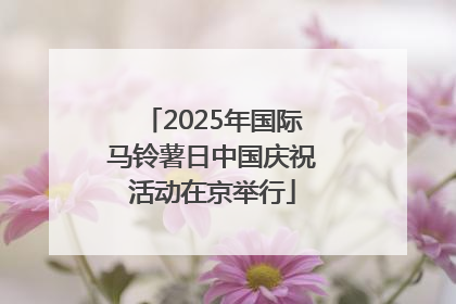 2025年国际马铃薯日中国庆祝活动在京举行