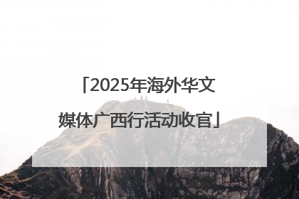 2025年海外华文媒体广西行活动收官