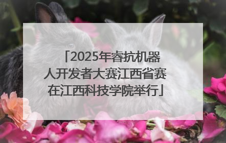 2025年睿抗机器人开发者大赛江西省赛在江西科技学院举行