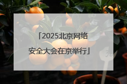 2025北京网络安全大会在京举行