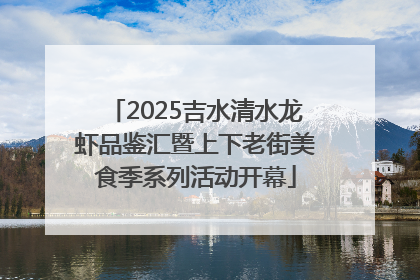 2025吉水清水龙虾品鉴汇暨上下老街美食季系列活动开幕