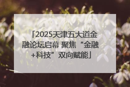 2025天津五大道金融论坛启幕 聚焦“金融+科技”双向赋能