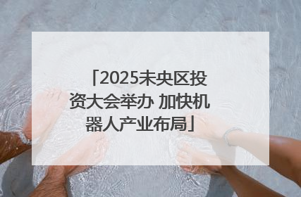 2025未央区投资大会举办 加快机器人产业布局