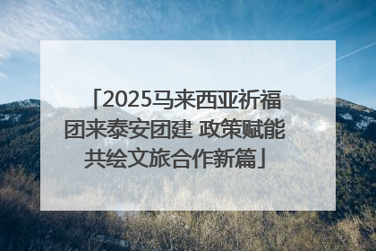 2025马来西亚祈福团来泰安团建 政策赋能共绘文旅合作新篇