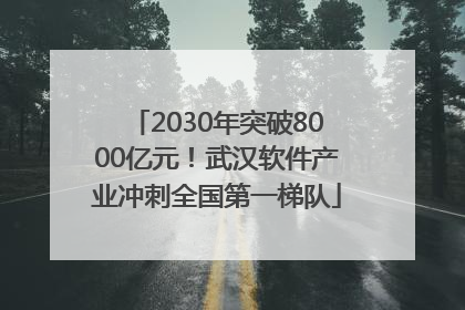 2030年突破8000亿元！武汉软件产业冲刺全国第一梯队