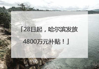 28日起，哈尔滨发放4800万元补贴！