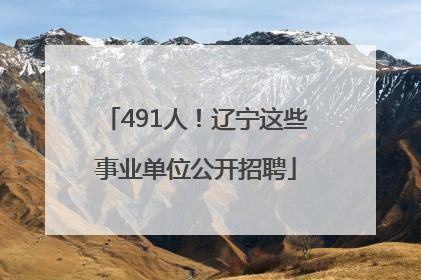 491人！辽宁这些事业单位公开招聘