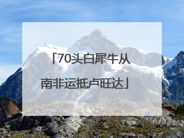 70头白犀牛从南非运抵卢旺达