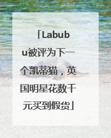 Labubu被评为下一个凯蒂猫，英国明星花数千元买到假货