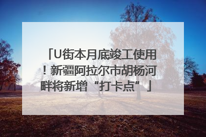 U街本月底竣工使用！新疆阿拉尔市胡杨河畔将新增“打卡点”